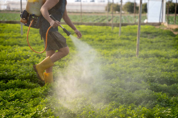 Reliable West Haverstraw, NY Pest Control Solutions