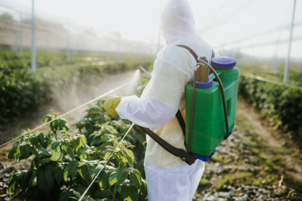 Best Pest Prevention Services  in West Haverstraw, NY
